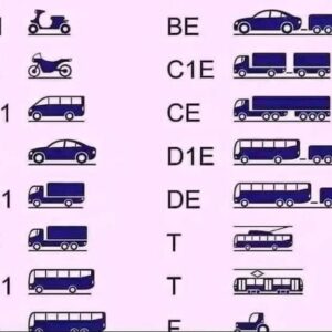 Uk Heavy Goods licence ( HGV)